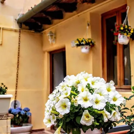 Panoramic And Beautiful House 4km From The Sea. * Rosignano Marittimo